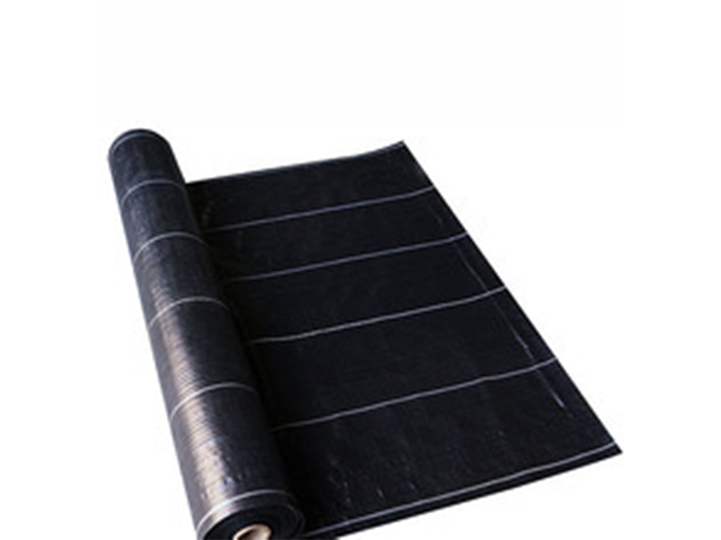 Weed Mat